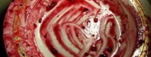 наливка из черной смородины. Шаг 5