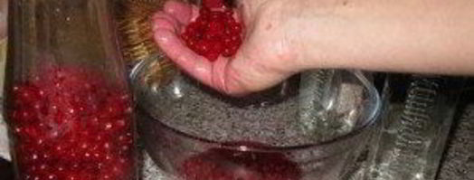 наливка из калины. Шаг 3