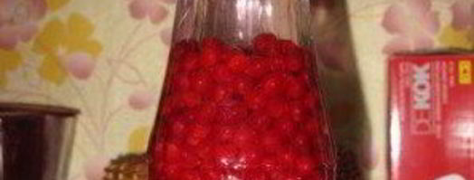 наливка из калины. Шаг 4