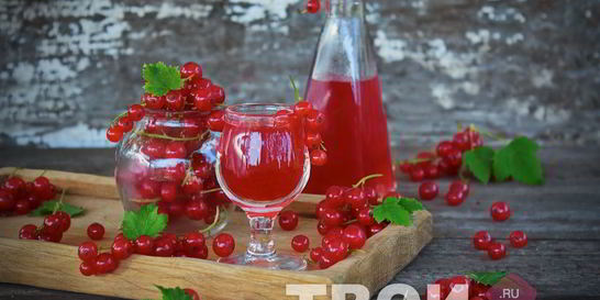 Наливка из красной смородины