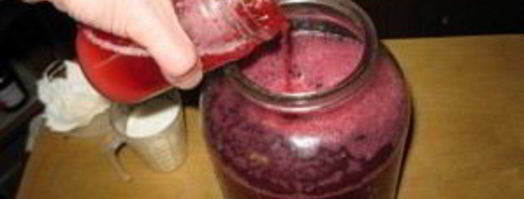 наливка из крыжовника и черной смородины. Шаг 5