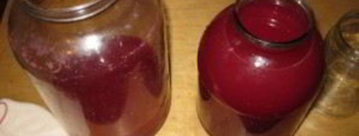 наливка из крыжовника и черной смородины. Шаг 8