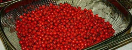 рябиновая наливка. Шаг 9