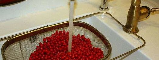 рябиновая наливка. Шаг 11