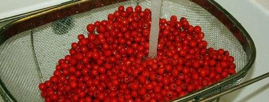 рябиновая наливка. Шаг 12