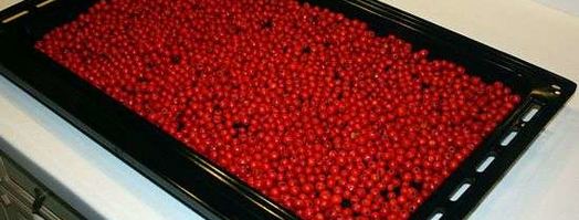 рябиновая наливка. Шаг 14