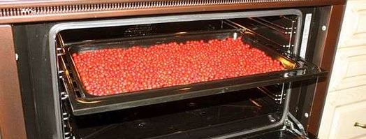 рябиновая наливка. Шаг 16