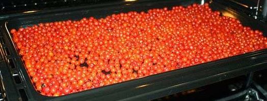 рябиновая наливка. Шаг 18