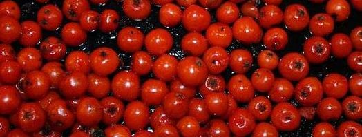 рябиновая наливка. Шаг 24