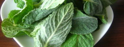 напиток освежающий. Шаг 3