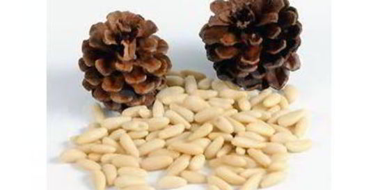 Кедровая настойка на орехах