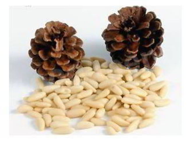 Рецепт кедровой настойки на орехах