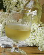 Настойка из бузины