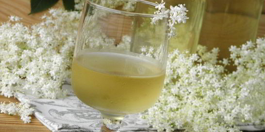 Настойка из бузины