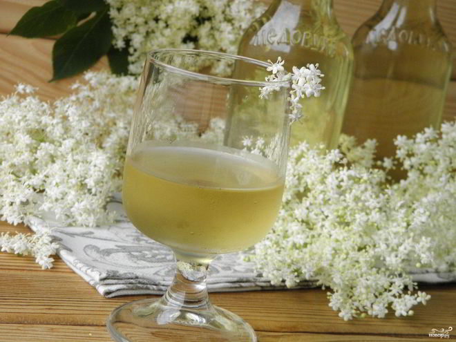 Рецепт настойки из бузины