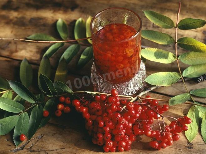 Рецепт настойки из красной рябины