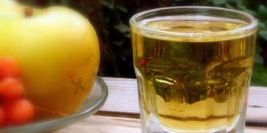 Настойка из облепихи