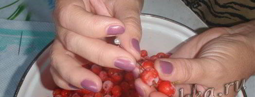 настойка из рябины. Шаг 3