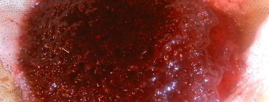 настойка клюковка. Шаг 8