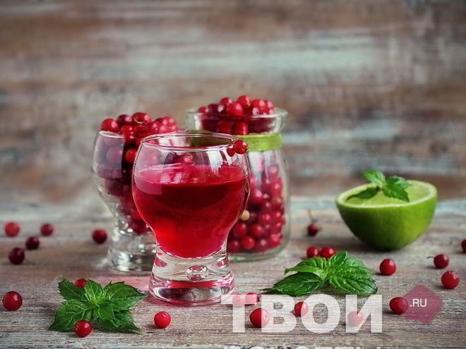 Рецепт настойки на бруснике