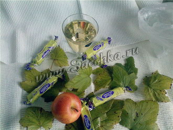 Рецепт настойки на листьях смородины осенний поцелуй