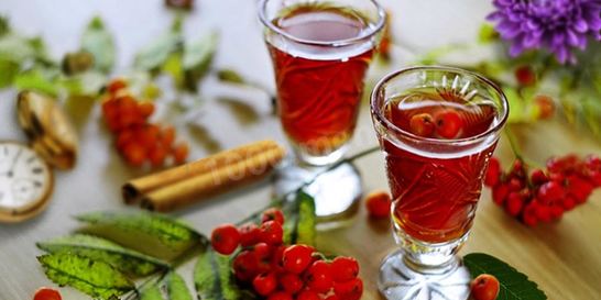 Настойка на рябине на спирту