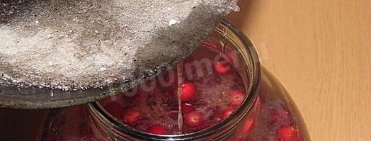 настойка на северной клюкве. Шаг 3