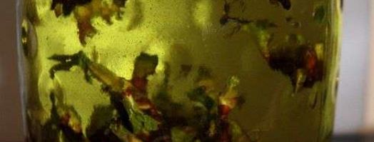 настойка на смородиновых почках. Шаг 31