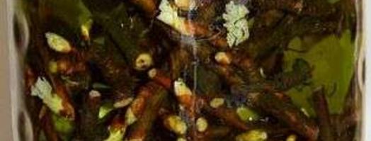 настойка на смородиновых почках. Шаг 35