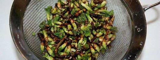 настойка на смородиновых почках. Шаг 10