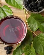 Настойка шелковицы