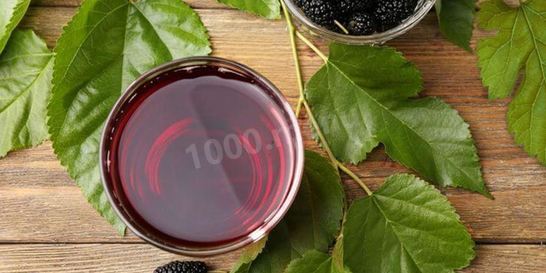 Настойка шелковицы