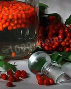 Рябиновая настойка из рябины на водке