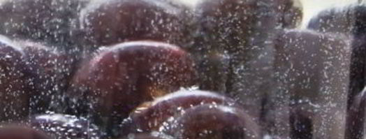 вишневая настойка. Шаг 3