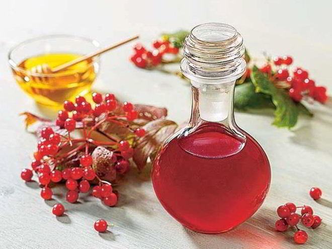 Рецепт сиропа из калины с медом