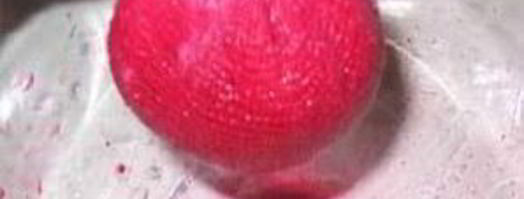 клюквенный сок. Шаг 4