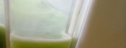 овощной сок зеленый. Шаг 3