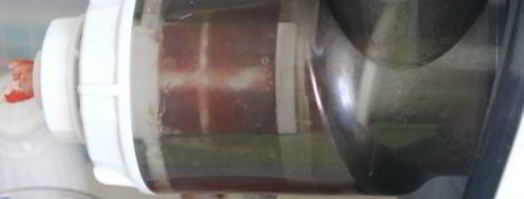 пряный томатно-сельдереевый сок. Шаг 4