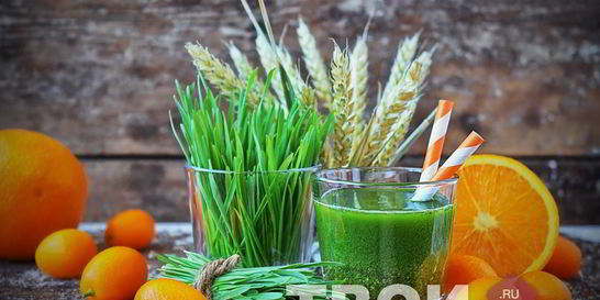 Сок из ростков пшеницы