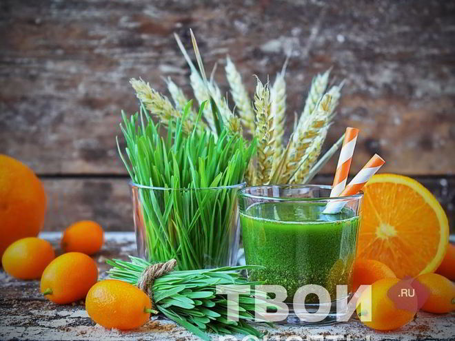 Рецепт сока из ростков пшеницы