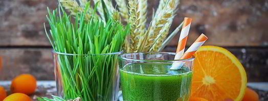 сок из ростков пшеницы. Шаг 7