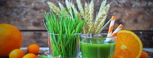 сок из ростков пшеницы. Шаг 8