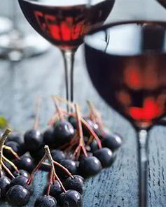 Вино из черной рябины