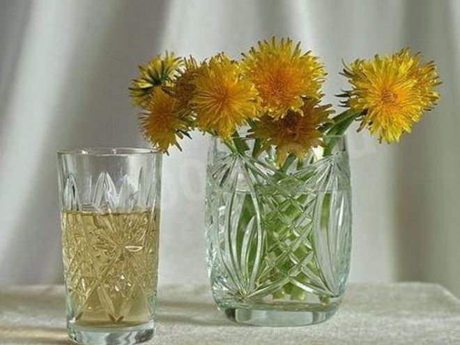 Рецепт вина из одуванчиков