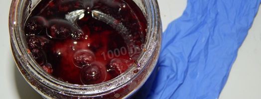 вино из забродившего варенья. Шаг 5