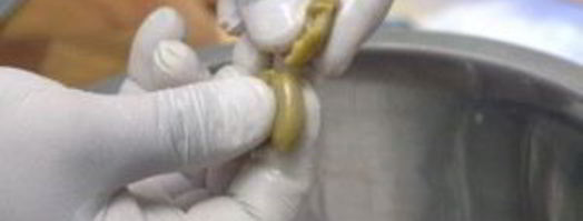 салат оливье с семгой. Шаг 7