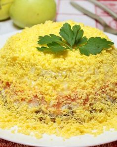 Салат мимоза с плавленным сыром