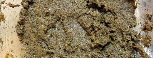 сельдь под шубой с грибной икрой. Шаг 4