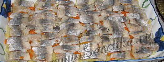 селедка под шубой. Шаг 9