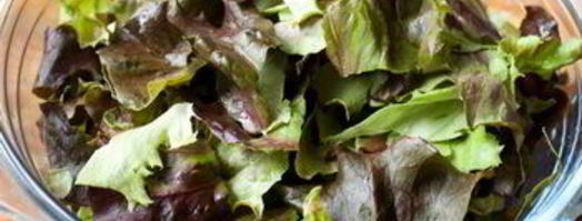 салат с огурцами и мятой. Шаг 5